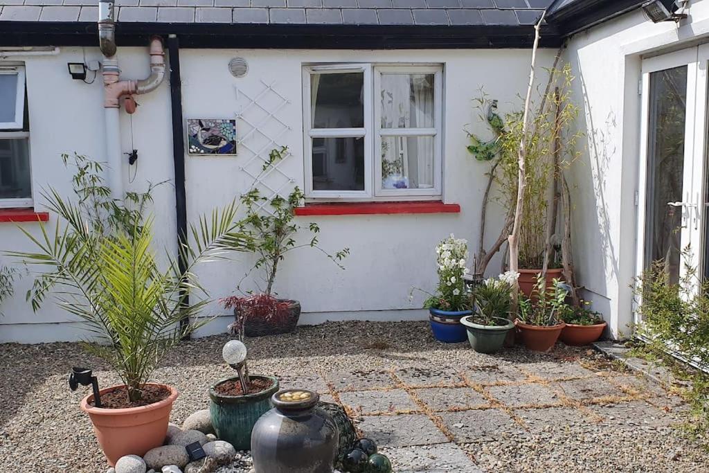 Cosy Self Contained Cottage With Stunning Views Killaloe Exterior foto